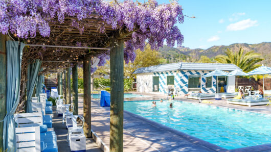 Calistoga Motor Lodge & Spa pool and wisteria